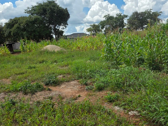 Stands & Residential Land