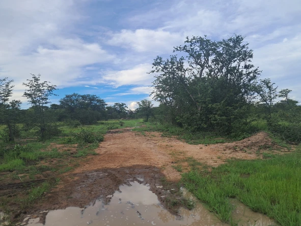 Farm & Agricultural Land