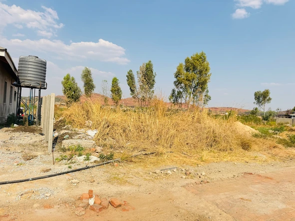 Stands & Residential Land