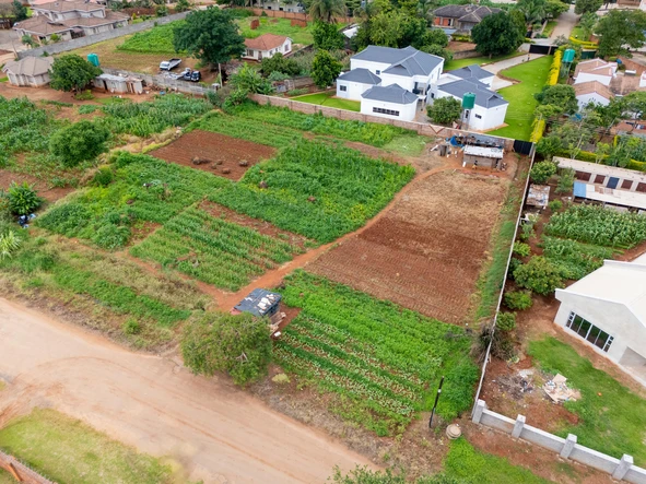 Stands & Residential Land