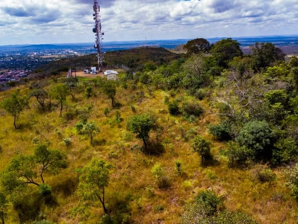 Commercial & Industrial Land