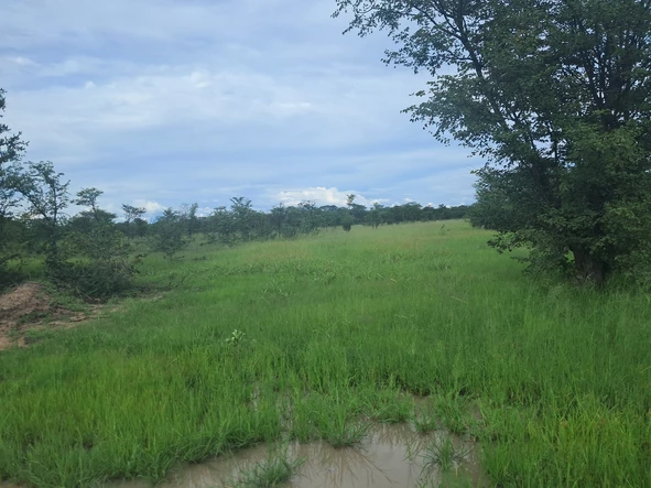 Farm & Agricultural Land