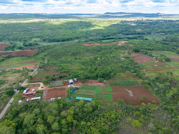 Farm & Agricultural Land