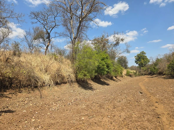Farm & Agricultural Land