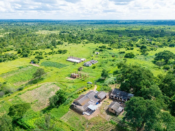 Farm & Agricultural Land