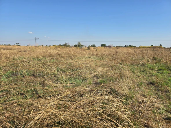 Stands & Residential Land