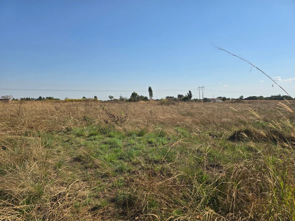 Stands & Residential Land