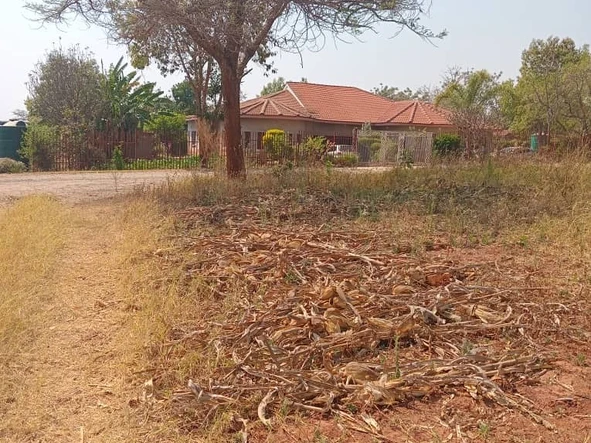 Stands & Residential Land