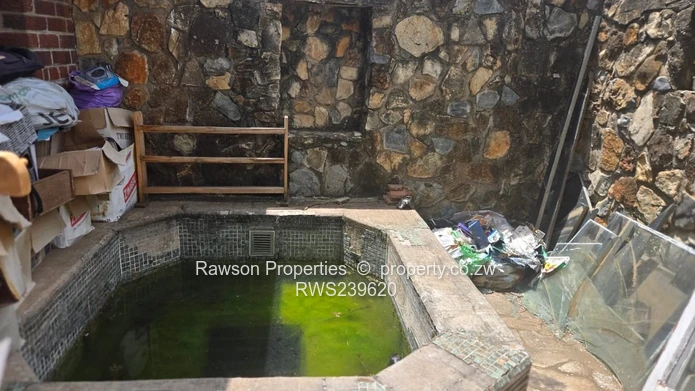 New Mandate - Vainona Gem