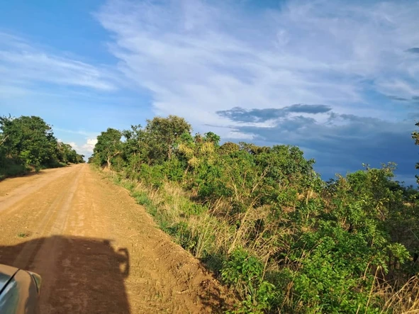 Farm & Agricultural Land