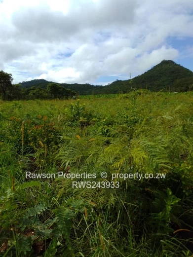 6 Hactare Plot in Bindura!!