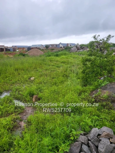 Investment opportunity 