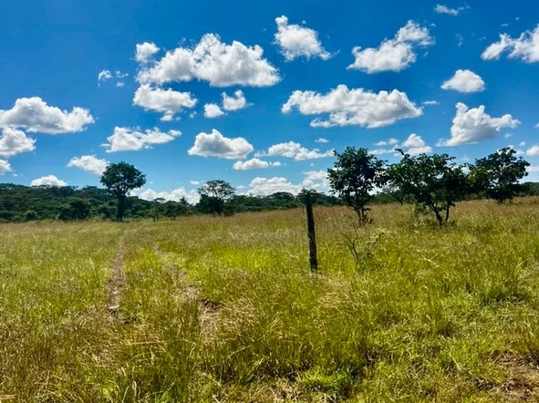 Farm & Agricultural Land