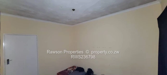 Investment opportunity 