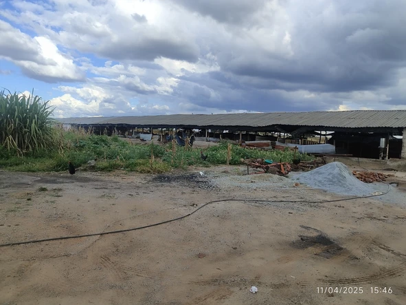 Farm & Agricultural Land