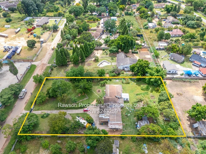 Golden Oldie in Hatfield