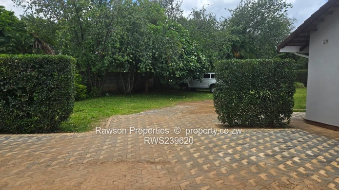 New Mandate - Vainona Gem