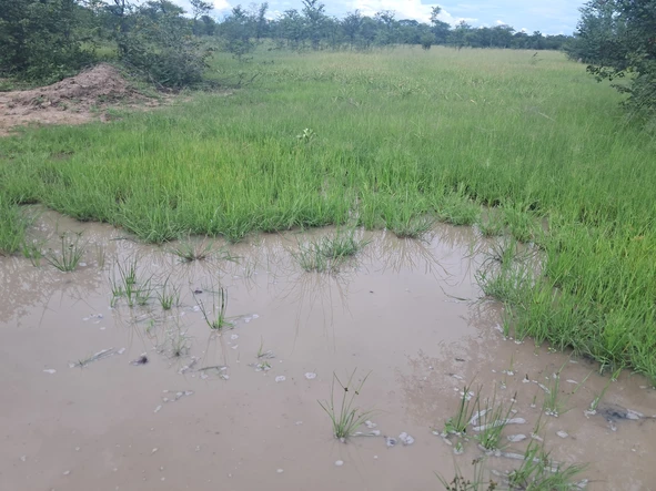 Farm & Agricultural Land