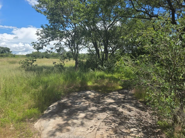 Farm & Agricultural Land