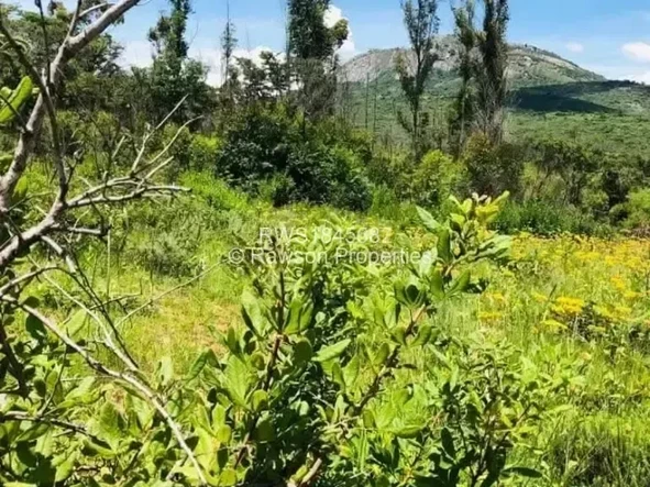 Farm & Agricultural Land