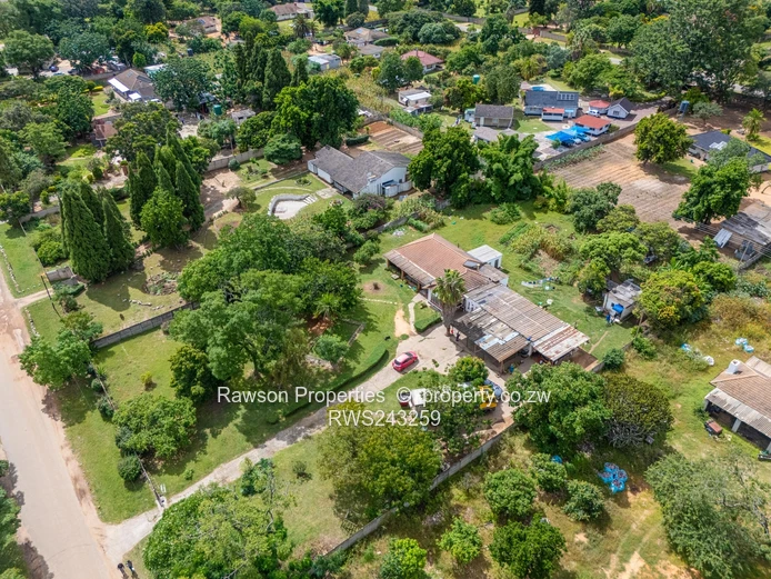 Golden Oldie in Hatfield