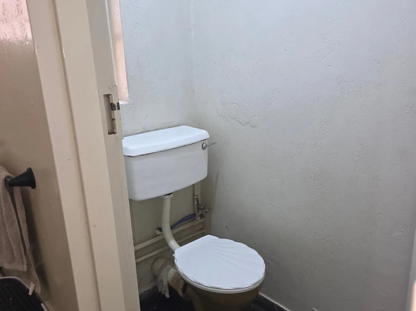 Flat & Apartment