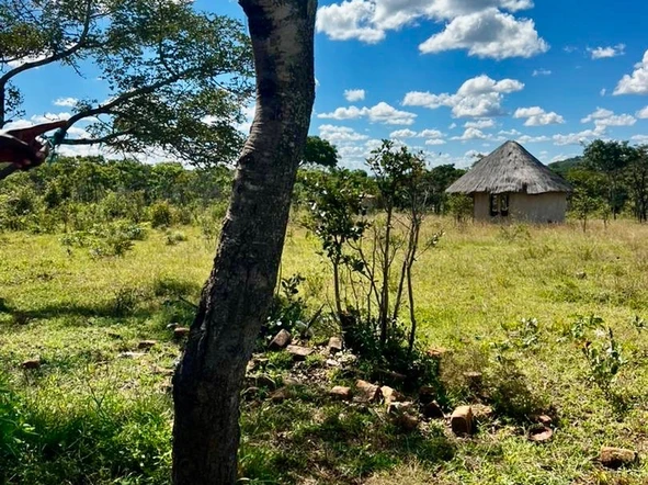 Farm & Agricultural Land