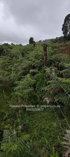 Nyanga plot for sale (Sole Mandate)