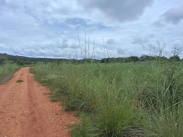 Red Soil Agro-Residential Plot  