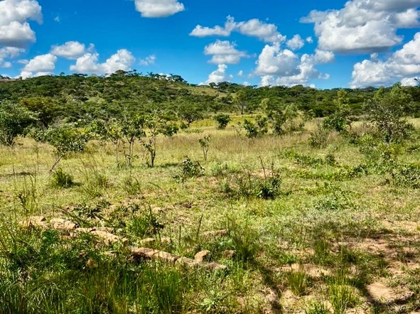Farm & Agricultural Land
