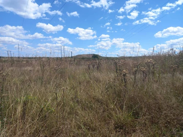 Farm & Agricultural Land