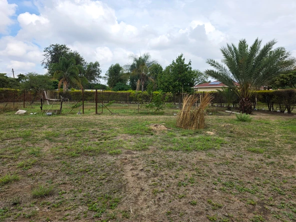 Stands & Residential Land