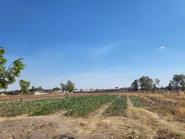 Farm & Agricultural Land