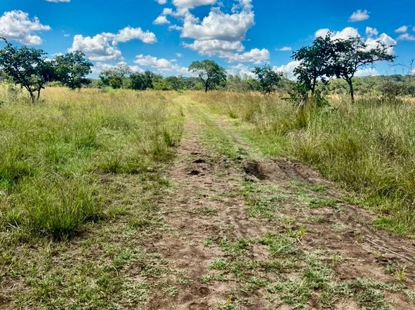 Farm & Agricultural Land