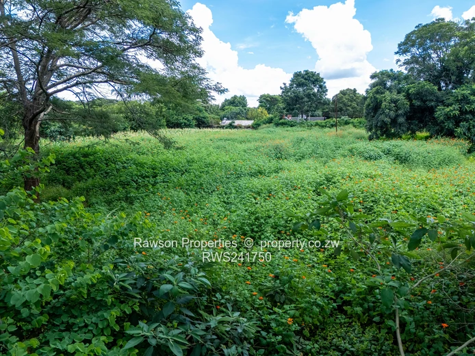 Don't miss out this gem!