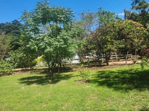 Shop & Retail Property