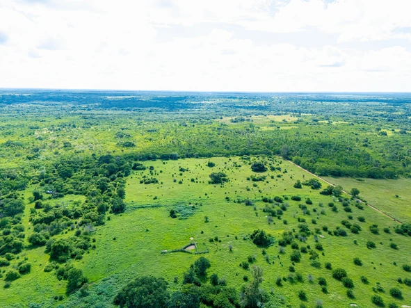 Farm & Agricultural Land