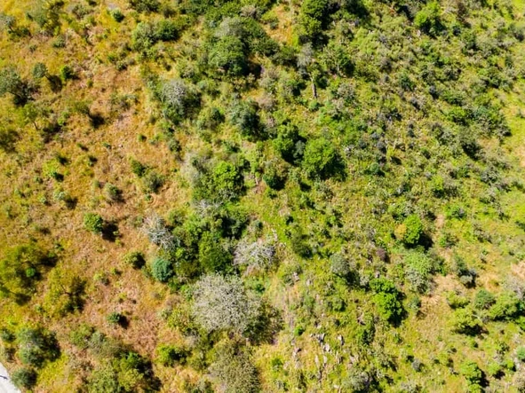 Commercial & Industrial Land