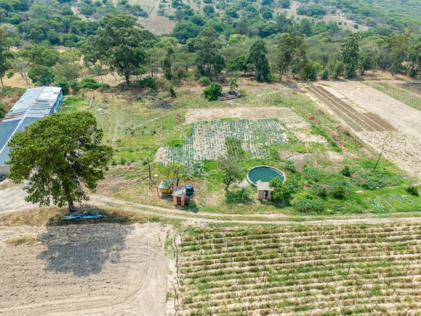 Farm & Agricultural Land