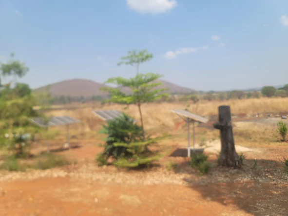Farm & Agricultural Land