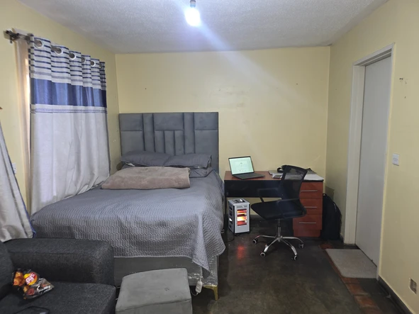 Flat & Apartment