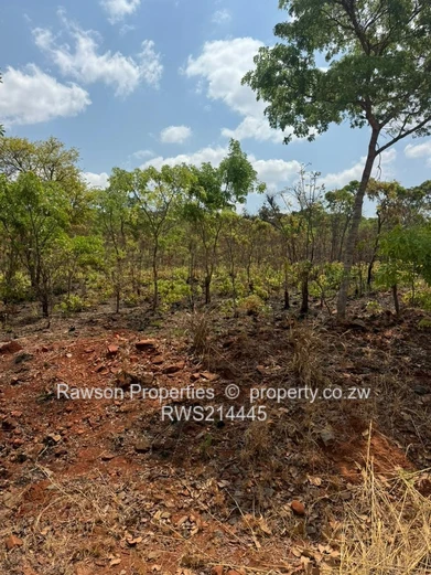 Too good to Last!  (Sole Mandate)