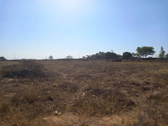 Farm & Agricultural Land