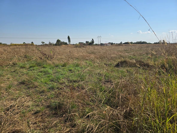 Stands & Residential Land
