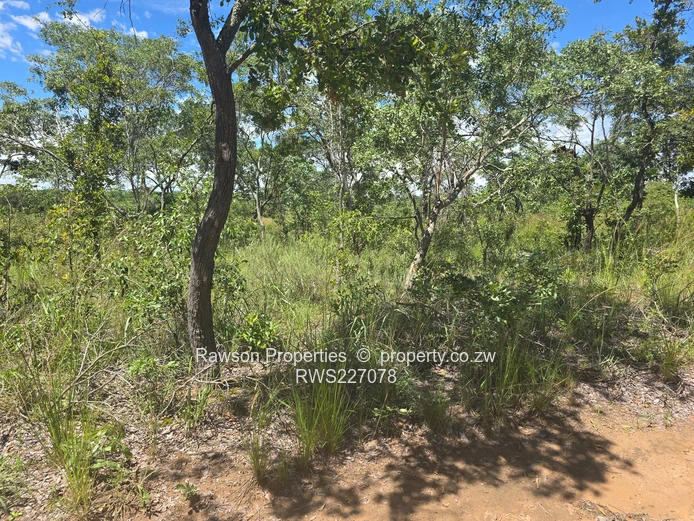 1121ha Karoi Lakeside Farm — Dam, Woodland & Tracks