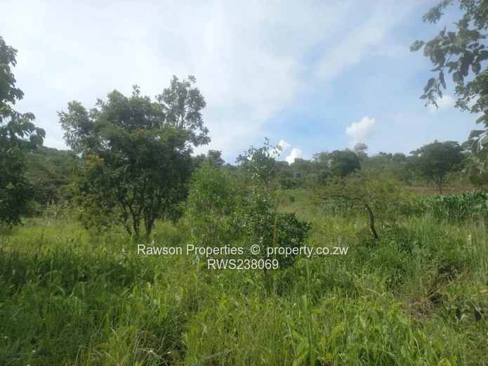 Gletwin (Police Heights) (Sole Mandate)