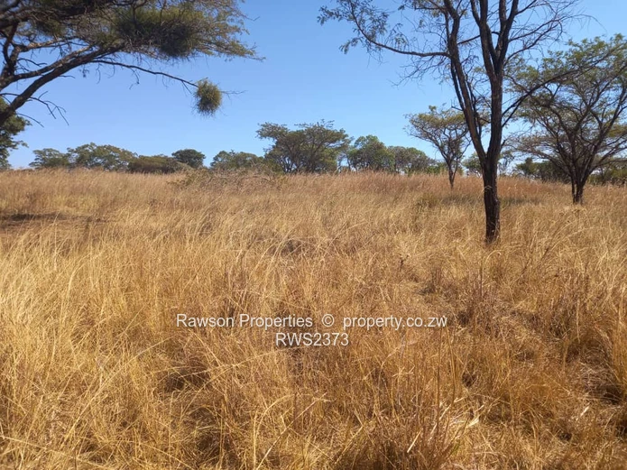 Glen Forest Plot For Sale