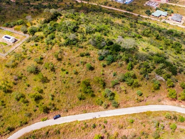 Commercial & Industrial Land