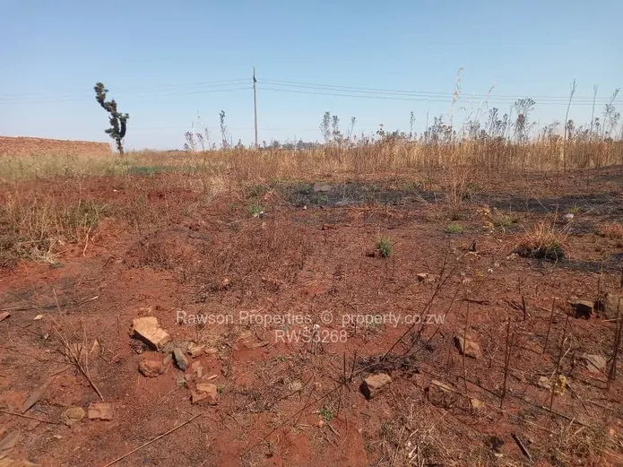 Fairview (Westgate) Stands for sale. 