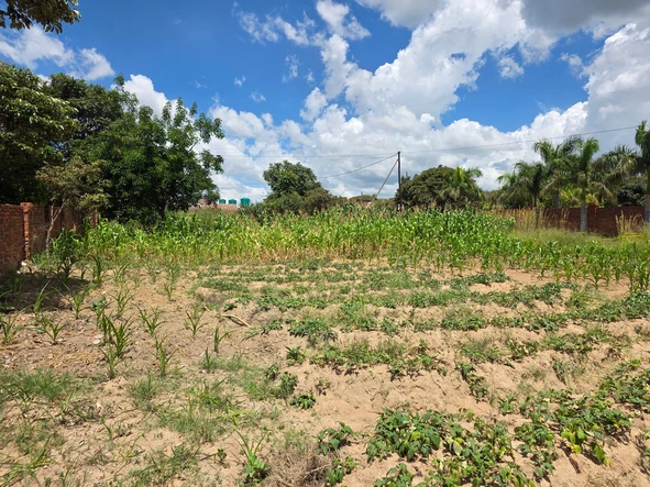 Stands & Residential Land